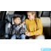 Автокресло Lionelo Levi One 9-36 кг